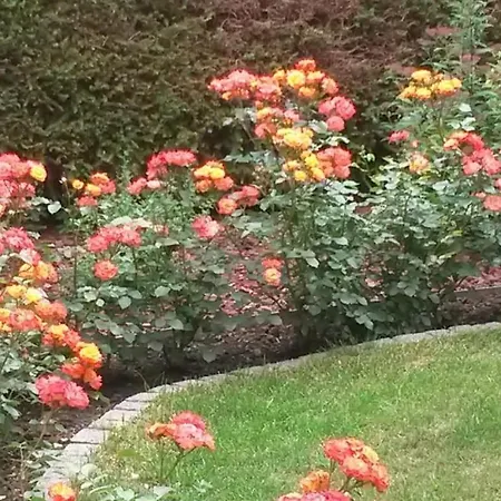 Ilse Herbert بيت للعطل