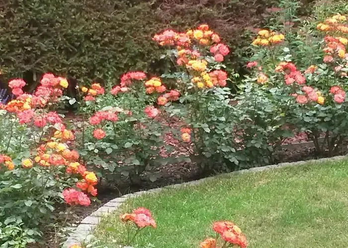 Ilse Herbert بيت للعطل